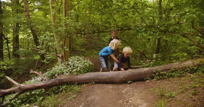 Older Brother Assists Younger Sibling Get Across Fallen Tree Trunk in Forest