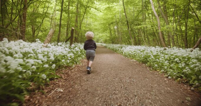 Cute Toddler Running in the Forest Woods with Flowers in Hand