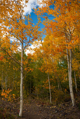 Autumn in the Colorado Rocky Mountains