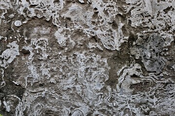 Texture of Old dirty concrete wall for Background