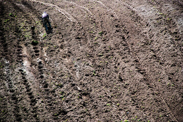 cielo, montagna, naturaleza, paisaje, nube, cerro, gente, mujer, silueta, azul, viajando, senderismo, atardecer, roca, aventura, deporte, camiseta, césped, ambulante, sol, persona, de pie, al aire lib