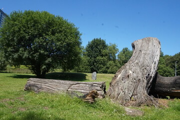 Drumchapel Way