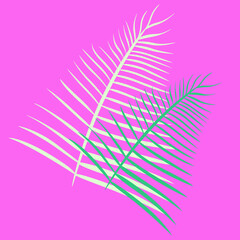 Areca palm tree leaves isolated vector illustration bamboo tropical