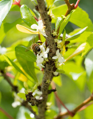 Urban Nature Photography South Florida Wildlife