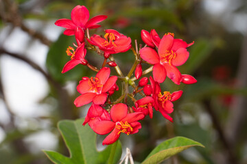 Urban Nature Photography South Florida Wildlife