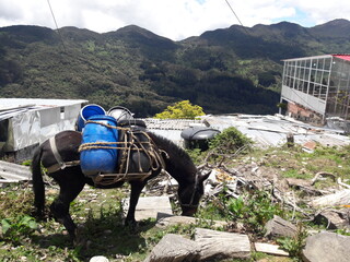 Views from Montserrate Bogota Colombia mountain 2019