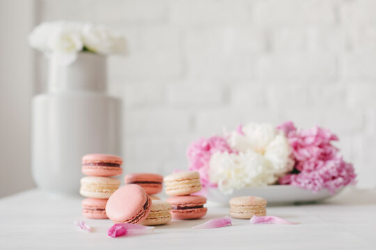 Hand made macarons on a modern light background