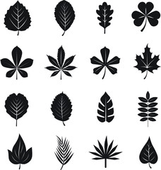 leaf icon set 