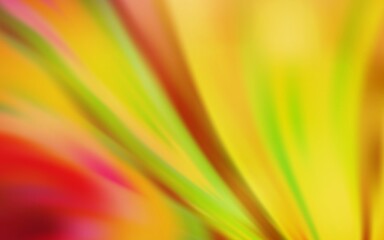 Light Red, Yellow vector blurred shine abstract background. Colorful abstract illustration with gradient. New design for your business.