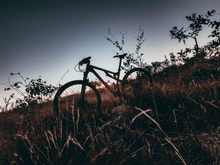Naklejka premium bicycle on sunset