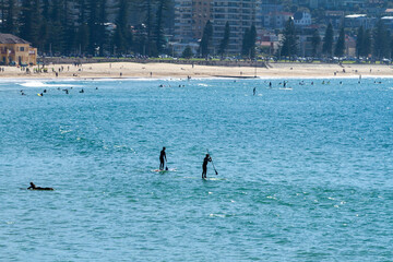 Two people on stand up paddlers, paddling through the ocean