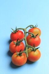 Fresh Cherry Tomato with Stem