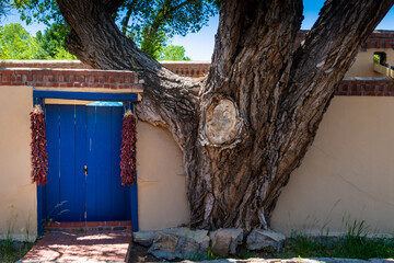 Tree in Wall with blue gate, Santa Fe, NM