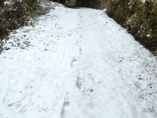 日本の田舎の風景　2月　雪の降った日　田舎道　足跡