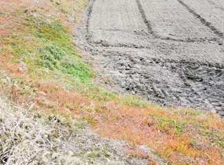 日本の田舎の風景　2月　早春の田んぼ