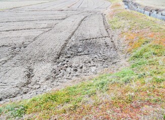 日本の田舎の風景　2月　早春の田んぼ