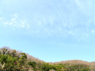 Obraz premium 日本の田舎の風景 2月 山の木々と青空