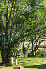 bench in the park