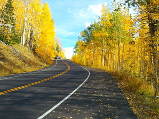 Obraz premium Guardsman Pass near Park City, Utah in Autumn