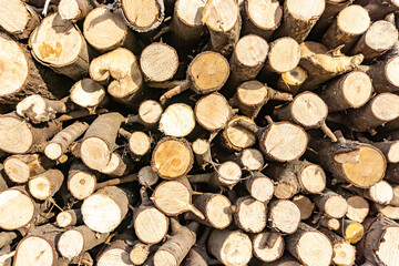 Fototapeta premium Stack of sawn logs. Natural wooden decor background.