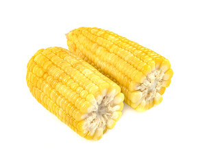 corn isolated on white background