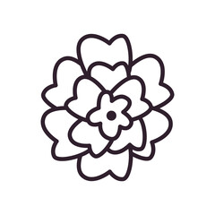 flower line style icon vector design