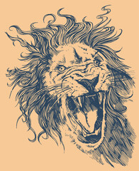 lion head vector. Vector illustration in style of roaring lion strokes. Design focused on t-shirts, posters, among others.