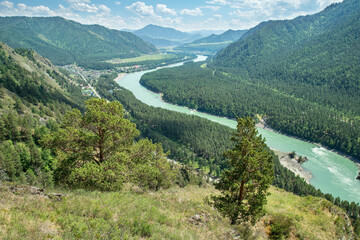 Picturesque mountain valley, river Katun, Altai. Summer holidays and travel.  © Valerii