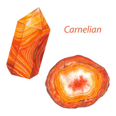 Carnelian point and carnelian agate slice. Watercolor gems. Sacral chakra stones and healing crystals isolated on white background
