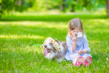Little girl sits with dog who wearing wreath of daisies and blows her nose in summer park, allergic to pet and  flowers