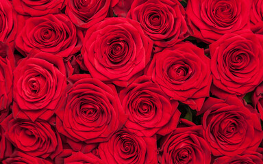 Red roses