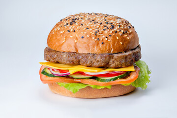 hamburger with cutlet, onion, tomato, chees and cucumber