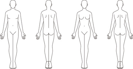 人体のイラスト。男性女性の略図