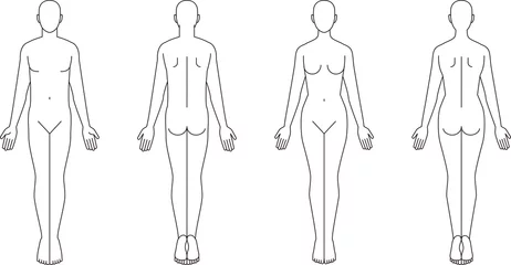 Muurstickers 人体のイラスト。男性女性の略図 © hiro