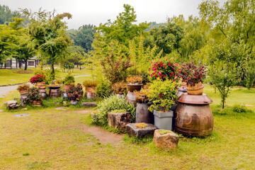 Fototapeta premium Group of potted plants and flowers