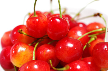 さくらんぼ（佐藤錦）