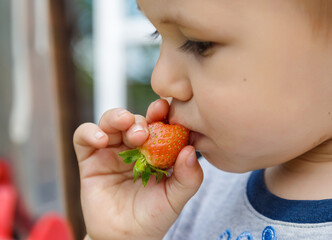 Cute happy boy eating strawberry, outdoor in garden