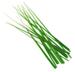 fresh lemongrass leaves isolated on white background, top view