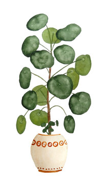 watercolor hand drawn illustration of Pilea peperomioides known as chinese money plant pancake plant in brown beige clay terra cotta pot. For urban jungle nature lovers interior houseplants design.