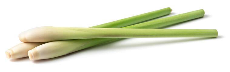 fresh lemongrass stems isolated on white background
