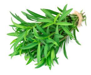 fresh sweet marigold twigs isolated on white background