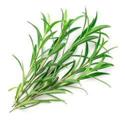 Fototapeta premium fresh sweet marigold twigs isolated on white background, top view