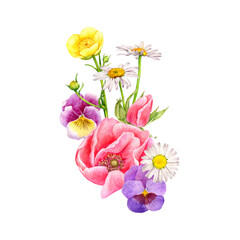 watercolor drawing wild flowers