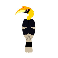Hornbill bird illustration. Logo, icon design. © Kas Tan