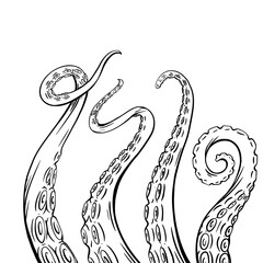 Set of black and white sketches octopus tentacles. Creepy limbs of marine inhabitants. Vector object for logos, tattoos, cards and your design. © veleri_kz