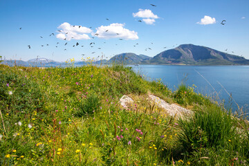 White clouds over summer landscape in Northern Norway
