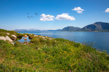 White clouds over summer landscape in Northern Norway