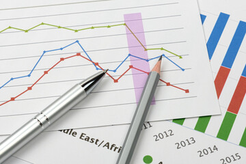 Business accessory, graph charts and pencil on the table.