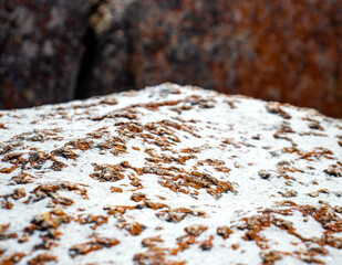 Macro shot of white sand on a red beach rock