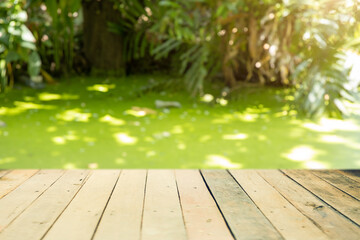 Green nature swamp  blur with wooden waterfront for product advertising montage background